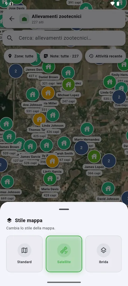 Stile mappa: satellite, stradale o entrambi insieme.