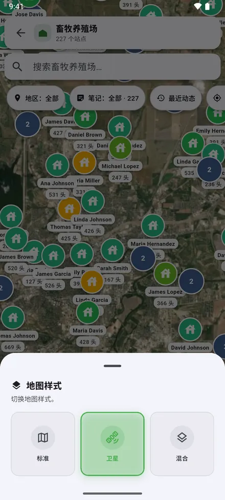 地图样式：卫星、街道地图，或两者叠加。
